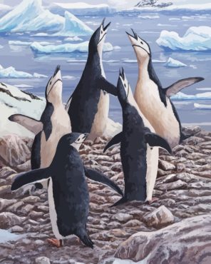 Polar Penguins Birds paint by number