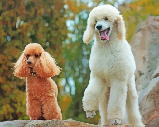 Poodle Dogs paint by numbers