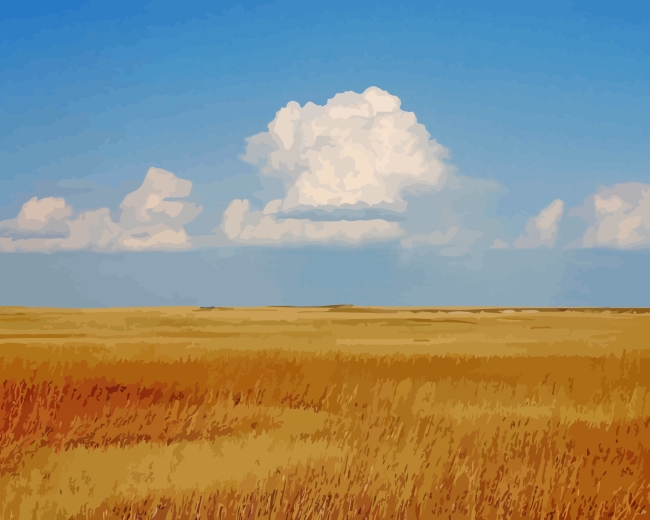 Horizon Prairie paint by numbers