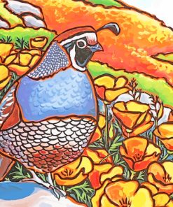 Quail Bird Art paint by numbers