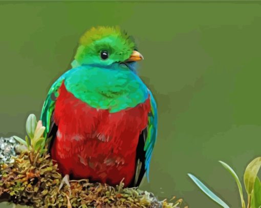 Quetzal Green Bird paint by numbers
