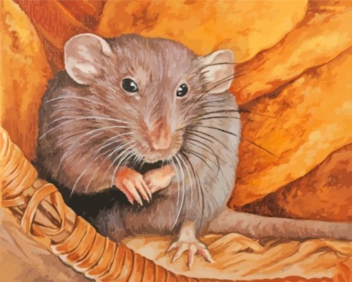 Rat Rodent paint by numbers