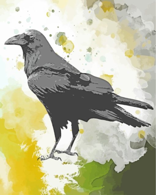 Raven Bird Art paint by numbers