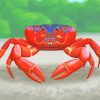 Red Crab Art paint by numbers