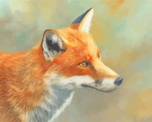 Red Fox Head paint by numbers