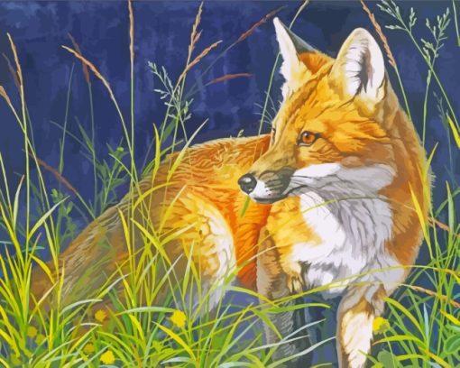 Red Fox paint by numbers