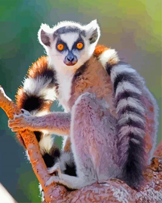 Ring Tailed Lemur Animal Diamond Painting 