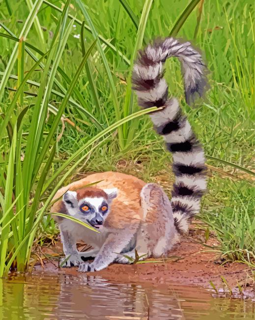 Ring-Tailed Lemur Forest paint by numbers