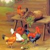 Rooster And Hen Birds paint by numbers