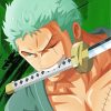 Roronoa Zoro Anime Character paint by numbers