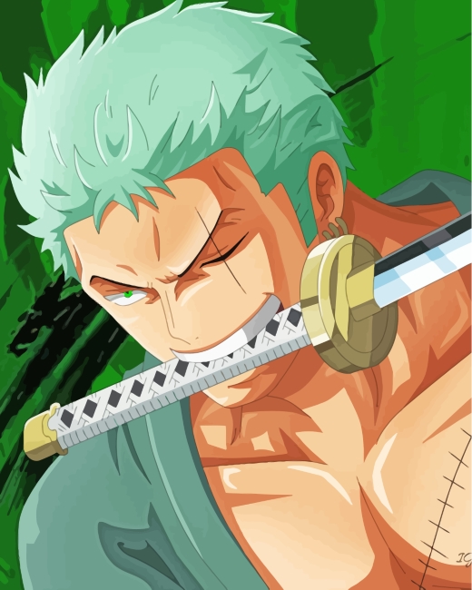Roronoa Zoro Paint by Numbers - Paint My Numbers