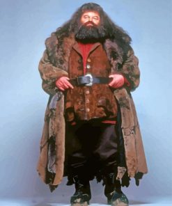 Rubeus-Hagrid-Harry-Potter-paint-by-numbers