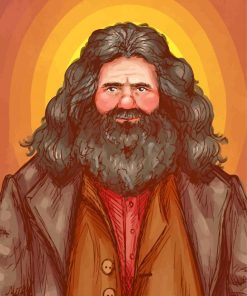 Rubeus Hagrid Art From Harry Potter paint-by-number