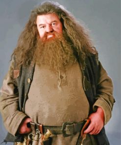 Rubeus Hagrid From The Movie Harry Potter paint-by-numbers