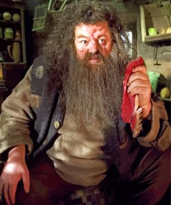 Rubeus Hagrid And Dragon Meat paint-by-number