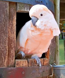 Salmon-Crested-Cockatoo-Bird-paint-by-number