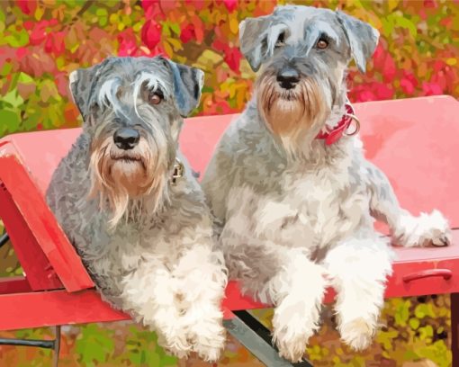 Schnauzer Dogs paint by numbers