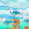 Seagull Birds paint by numbers