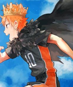 Shoyo Hinata Player Paint by numbers