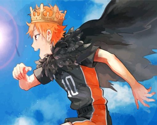 Shoyo Hinata Player Paint by numbers