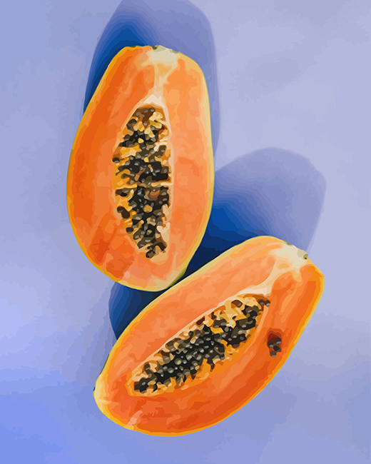 Sliced Papaya Fruit paint by numbers