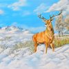 Stag In Snow paint by numbers