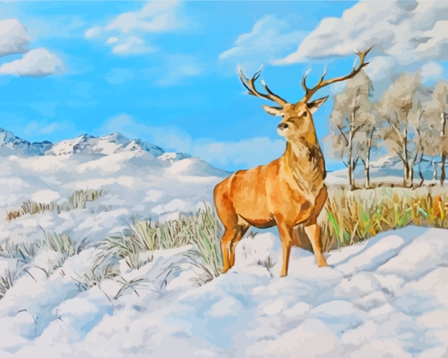 Stag In Snow paint by numbers