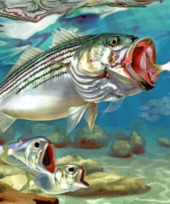 Striped Bass paint by numbers