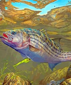 Striped Bass Fish Underwater paint by numbers