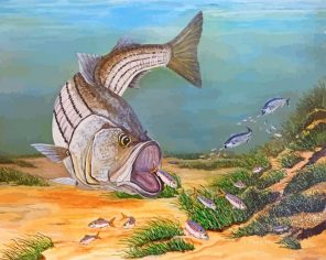 The Striped Bass Painting paint by numbers