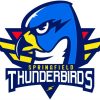 Thunderbirds Logo paint by numbers