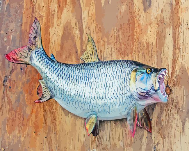 Tigerfish Illustration paint by numbers