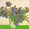 Van Gogh Irises paint by numbers