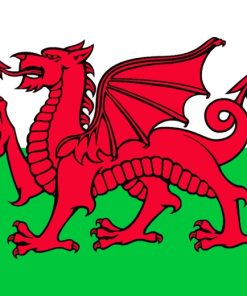 Welsh Dragon Flag paint by numbers