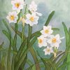White Daffodil Flowers paint by numbers
