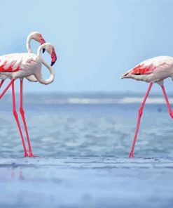 White Pink Flamingos paint by numbers