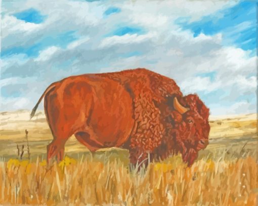 Wild American Bison paint by numbers