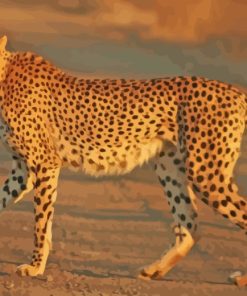 Wild Animal Cheetah paint by numbers