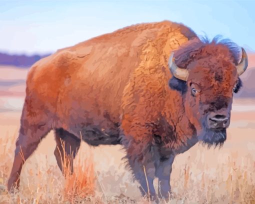 Wild Bison paint by numbers