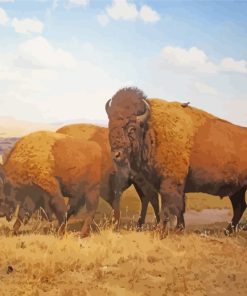Wild Buffaloes Animal paint by numbers