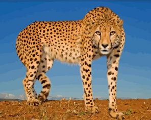 Wild Cheetah paint by numbers