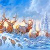 Wild Elk In Snow paint by numbers