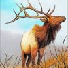 Wild Elk paint by numbers