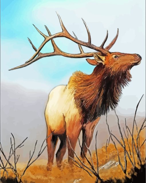Wild Elk paint by numbers