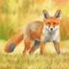 Wild Fox paint by numbers
