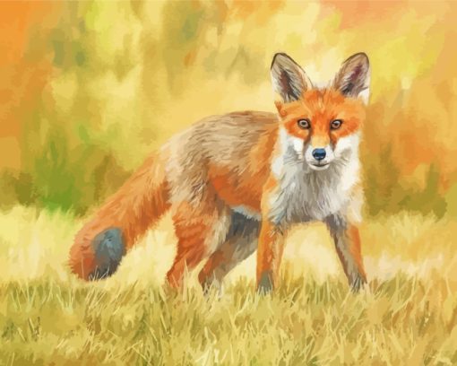 Wild Fox paint by numbers