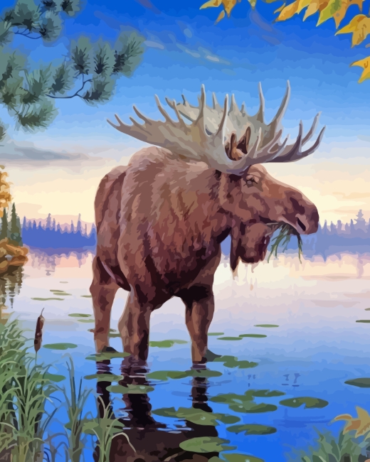 Wild Moose Animal paint by numbers