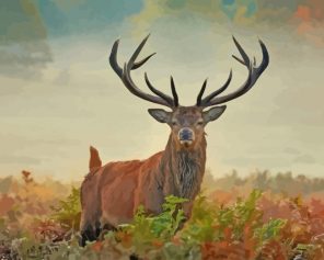 Wild Stag Animal paint by number