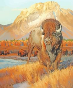 Wildlife Bison Animal paint by numbers