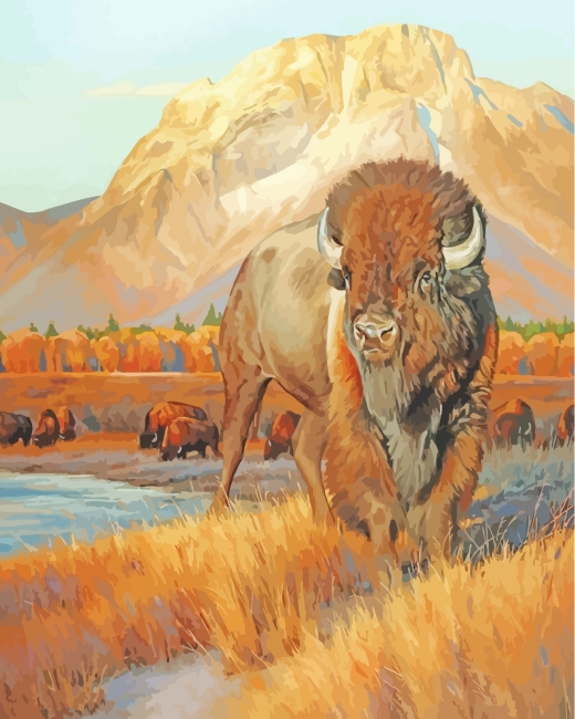 Wildlife Bison Animal paint by numbers